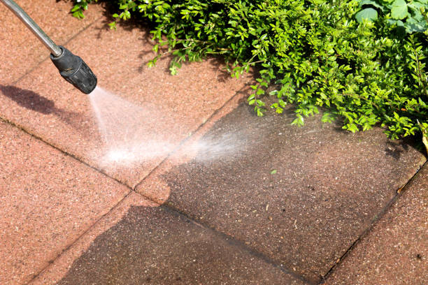 Best Pressure Washing Services for Businesses  in Junction City, KY